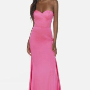 Alyce Paris Secret Dress Collection 1721 Barbie Pink Long Party Dress SZ 4 (34")